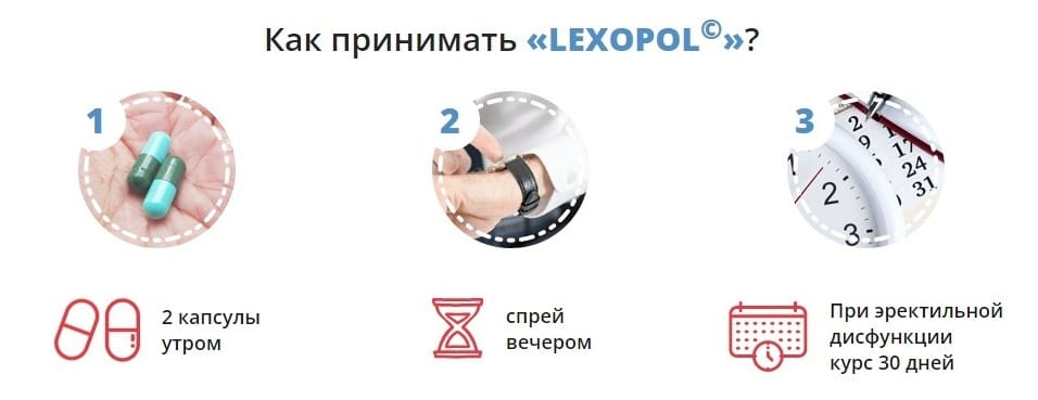 ΠΠ΅ΠΊΡΠΎΠΏΠΎΠ» Π΄Π»Ρ ΠΏΠΎΡΠ΅Π½ΡΠΈΠΈ ΠΈΠ½ΡΡΡΡΠΊΡΠΈΡ
