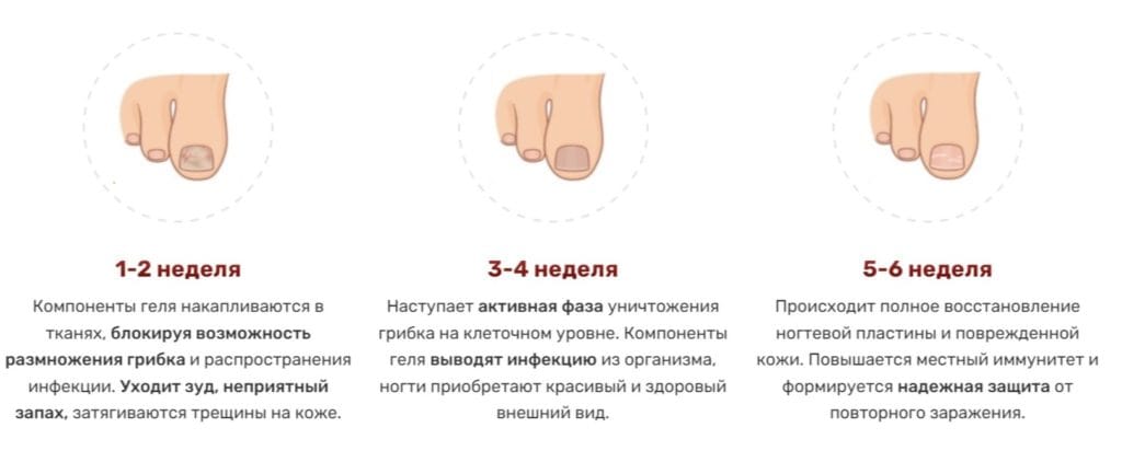 Даошэн – инструкция по применению и состав препарата