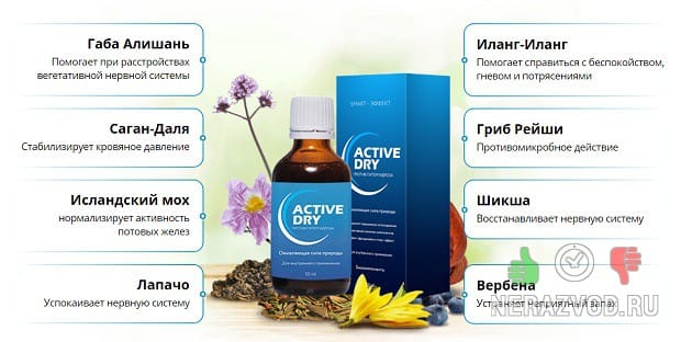 Состав Active Dry