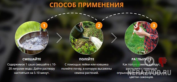 урожай на зависть