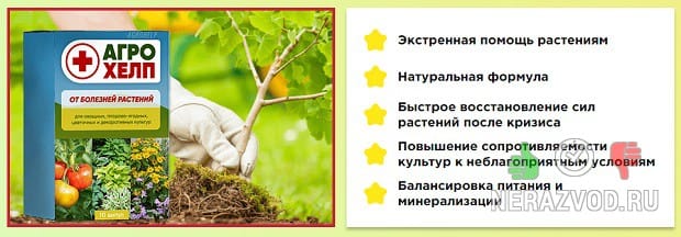 уход за растениями