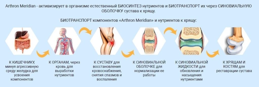 Arthron Meridian для суставов как работает