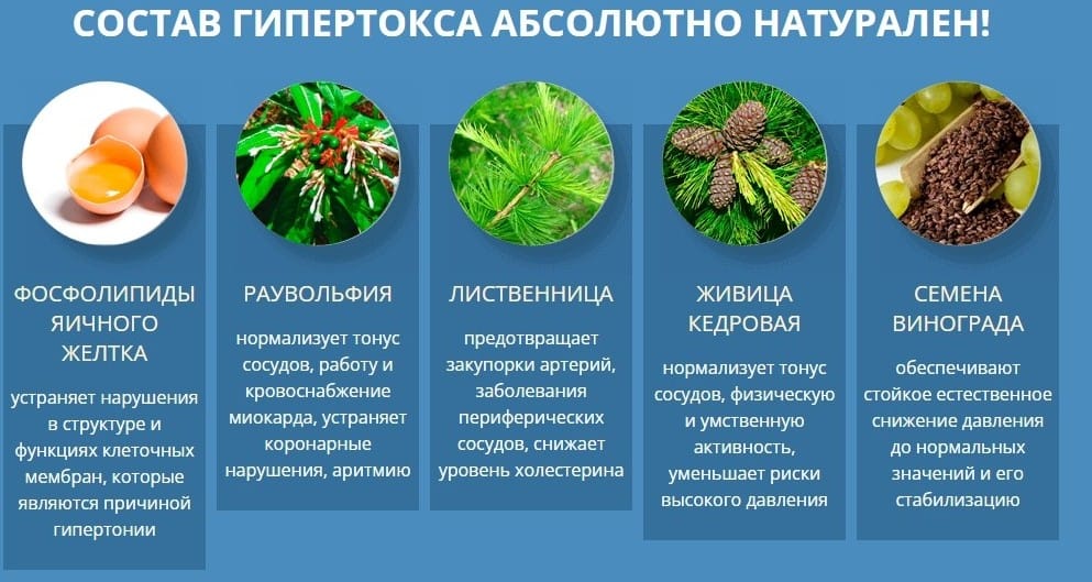 Гипертокс от гипертонии состав