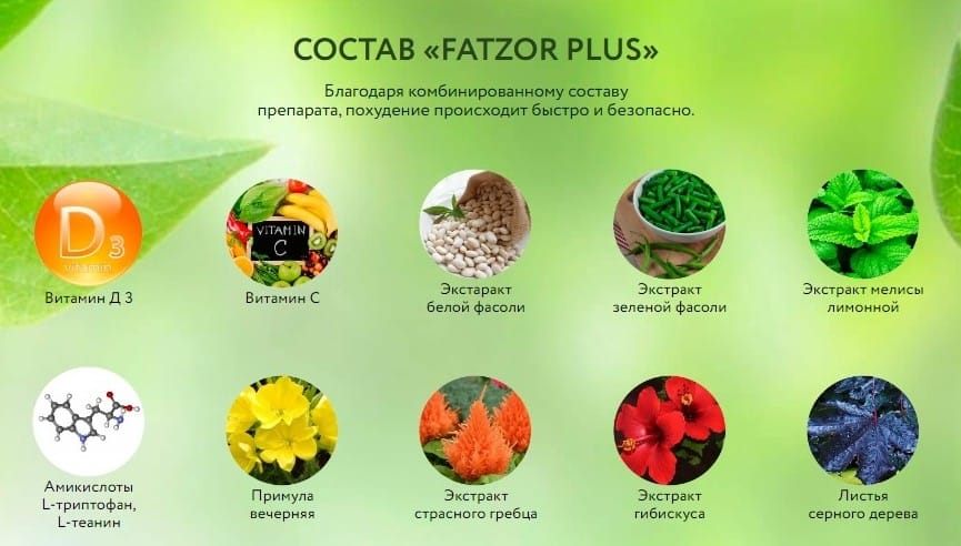 Fatzor Plus для похудения состав