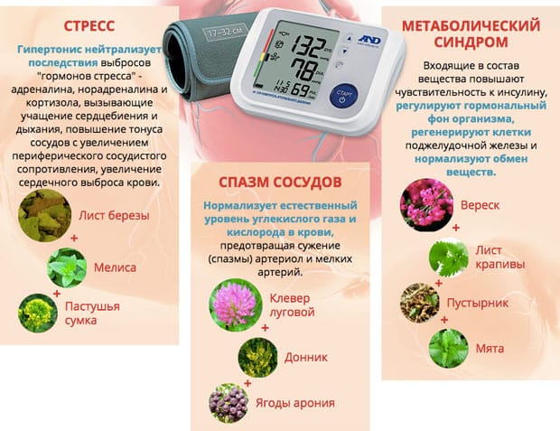 состав гипертонис