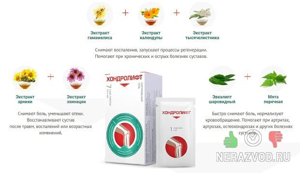 состав Хондролифт