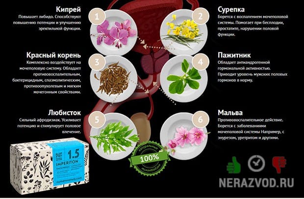 состав Imperiton