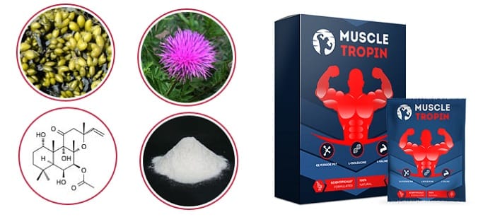 MUSCLE TROPIN средство для накачки мышц: рельефное тело и никакого жирав!