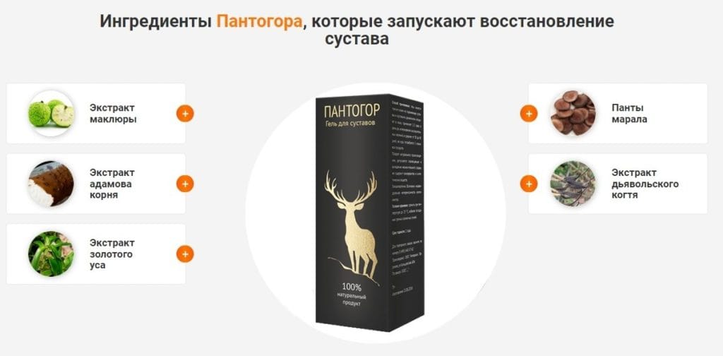 Пантогор для суставов состав